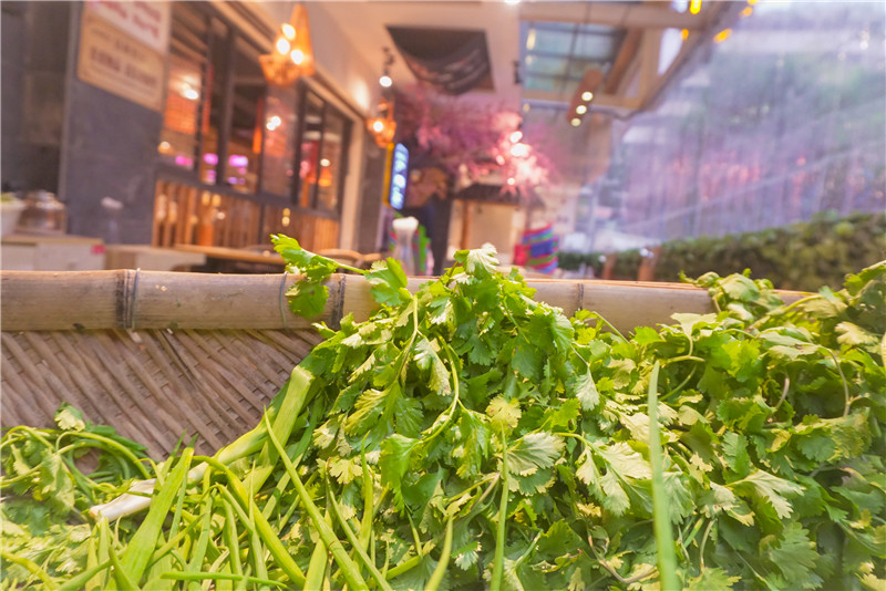 串串香門店利潤